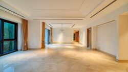 Ardmore Park (D10), Condominium #568363811